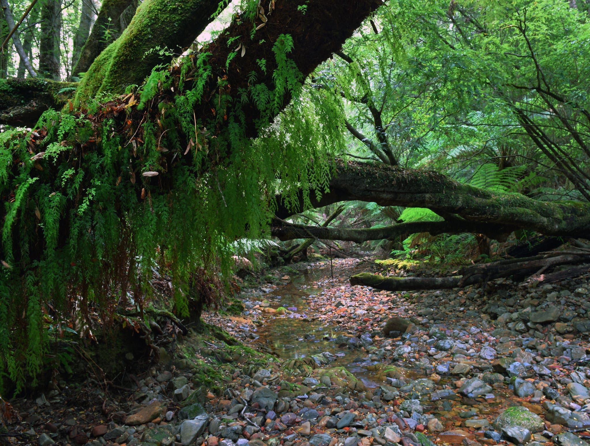 Nature Engagement Tours Albion Park Visit Shellharbour