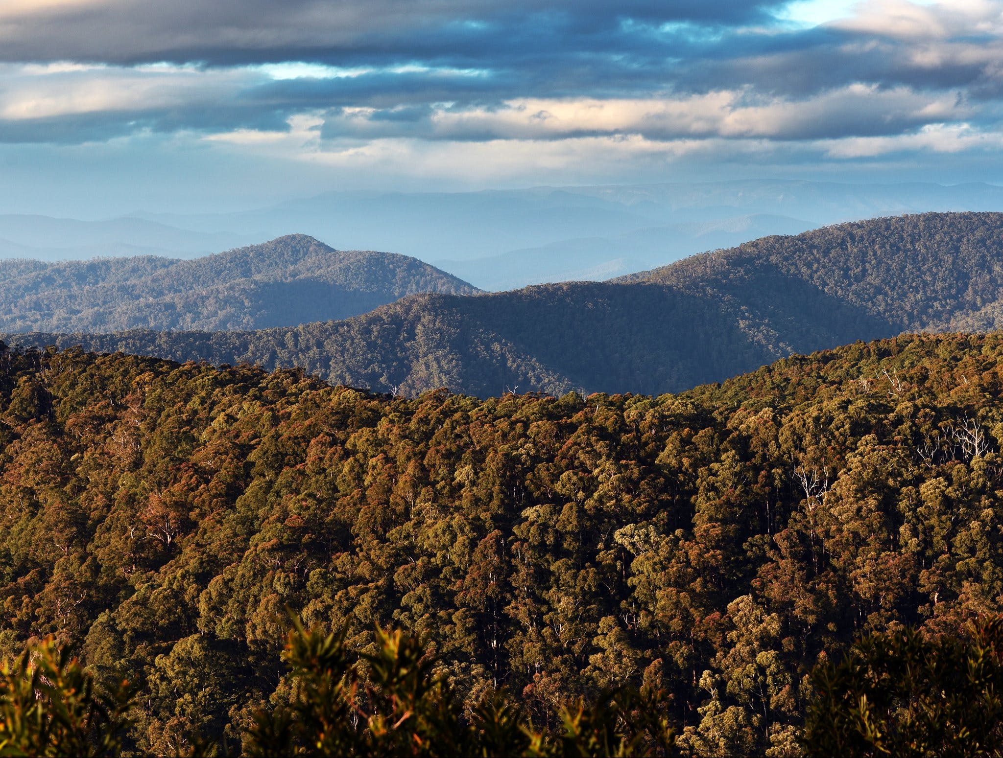 Nature Engagement Tours Visit Shellharbour