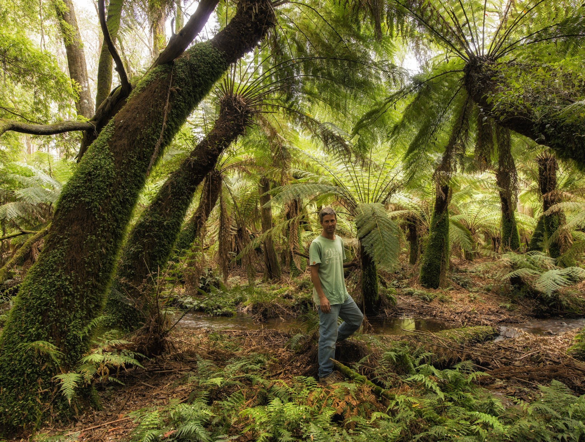 Nature Engagement Tours Albion Park Visit Shellharbour