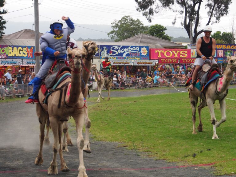 Albion Park Show