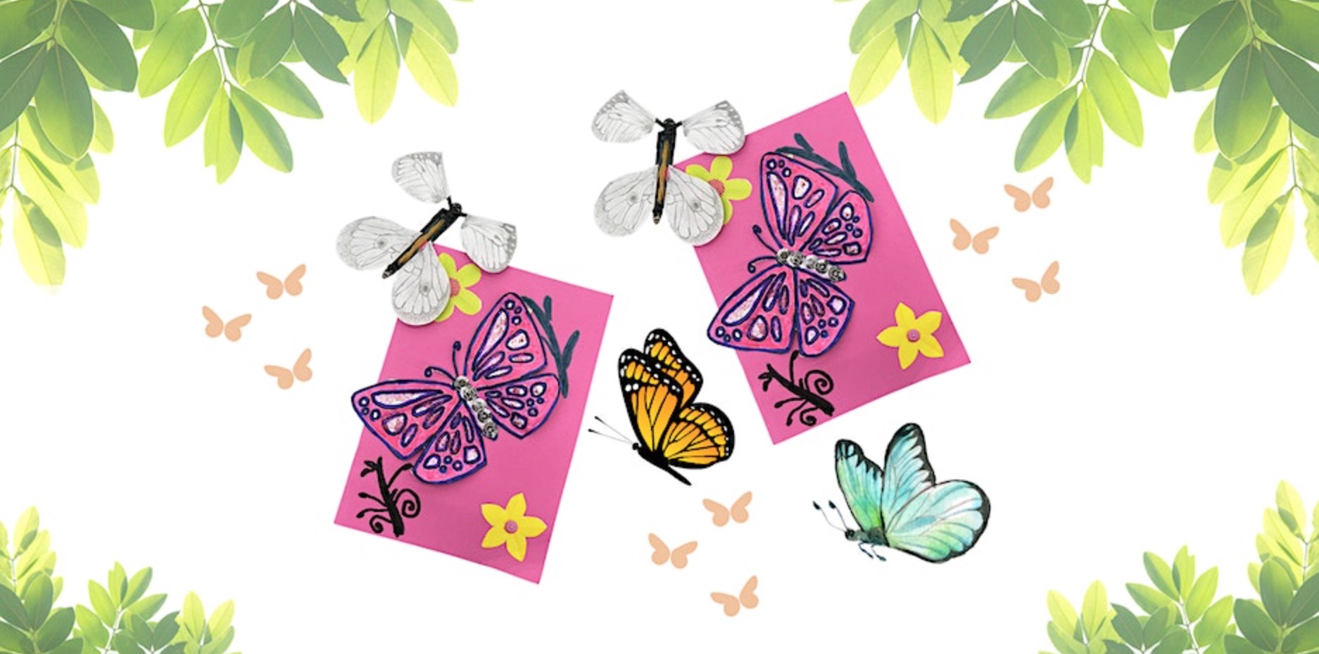 Flying Butterflies at Albion Park Library Visit Shellharbour